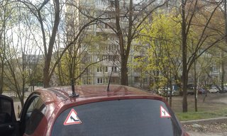 IMAG0148.jpg