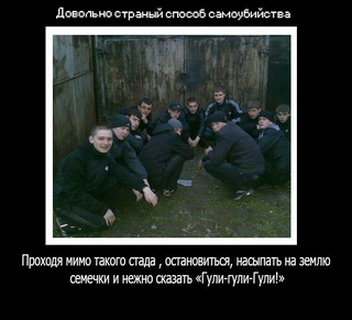 20141003_122111.png