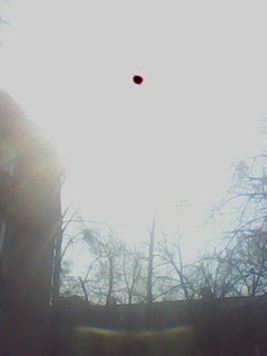 solzt20032015_0.jpg