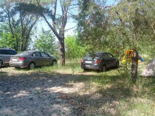 IMG_20150523_115607.jpg