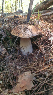 IMAG0578.jpg