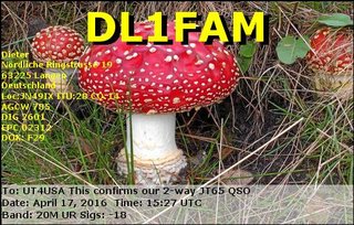 _cfimg-1618637285968125232.JPG