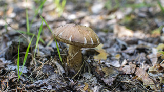 DSC_9091.jpg