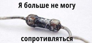 1386751203.jpg